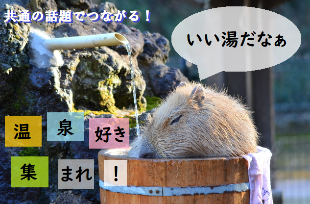 ☆60～70代中心☆　温泉大好き！共通の話題で盛り上がろう【感染症対策済み】　S11-9