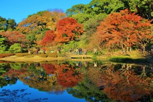 11/14（土）皇居を散策