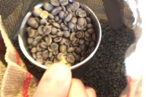 鎌倉でコーヒーの淹れ方教室！