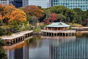 茜会クラブ活動「探検部」秋の浜離宮を散策！